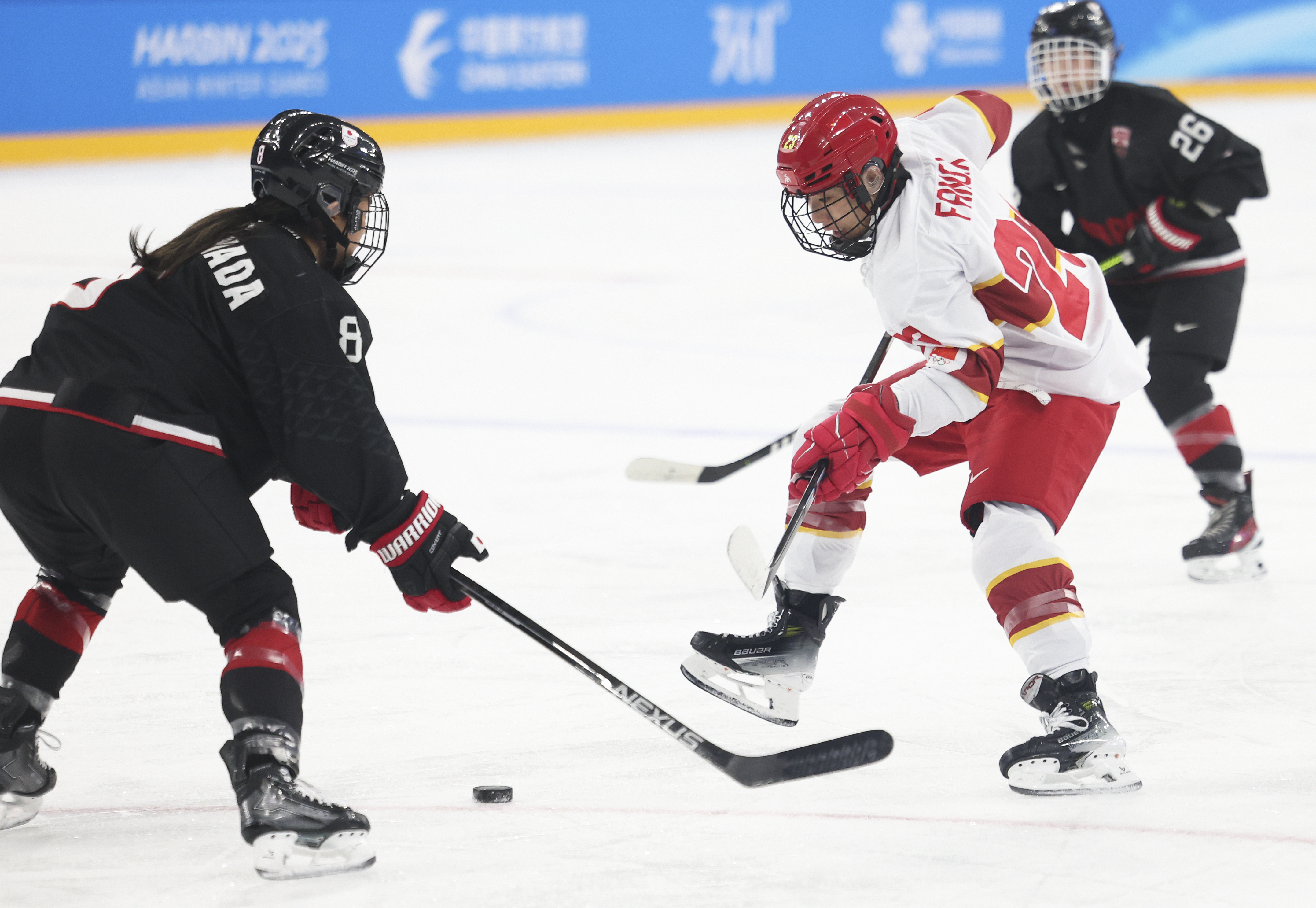 （亚冬会）冰球——女子小组赛：中国队对阵日本队+XxjpseC007484_20250214_PEPFN0A001.JPG