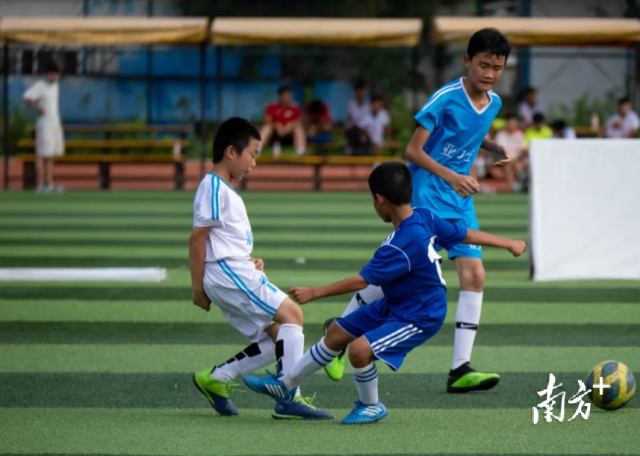 英德全市现有“全国青少年校园足球特色学校”26所、“成年人电影校园足球推广学校”7所，校园足球队超百支。英德市文广旅体局供图